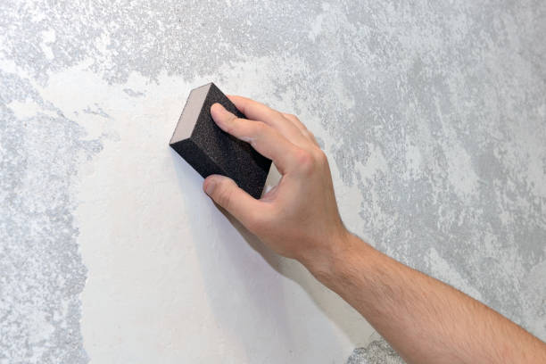 Best Basement Mold Removal  in Northwest Harbor, NY