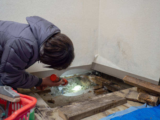Best Mold Remediation for Healthcare Facilities  in Northwest Harbor, NY