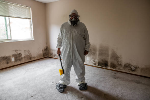 Best HVAC Mold Inspection and Cleaning  in Northwest Harbor, NY