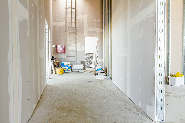 Best Real Estate Mold Inspection  in Northwest Harbor, NY
